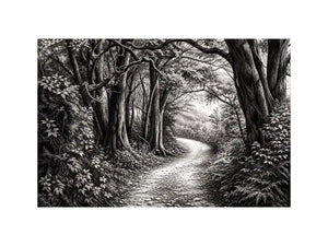 Black and white forest path wall art with detailed woodland trees and vintage nature illustration aesthetic