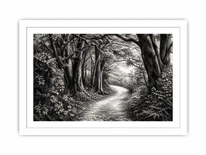 Black and white forest path wall art with detailed woodland trees and vintage nature illustration aesthetic