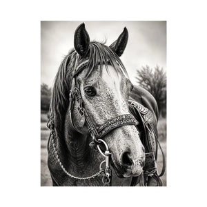 Black and white horse portrait wall art with detailed western bridle and elegant monochrome countryside aesthetic