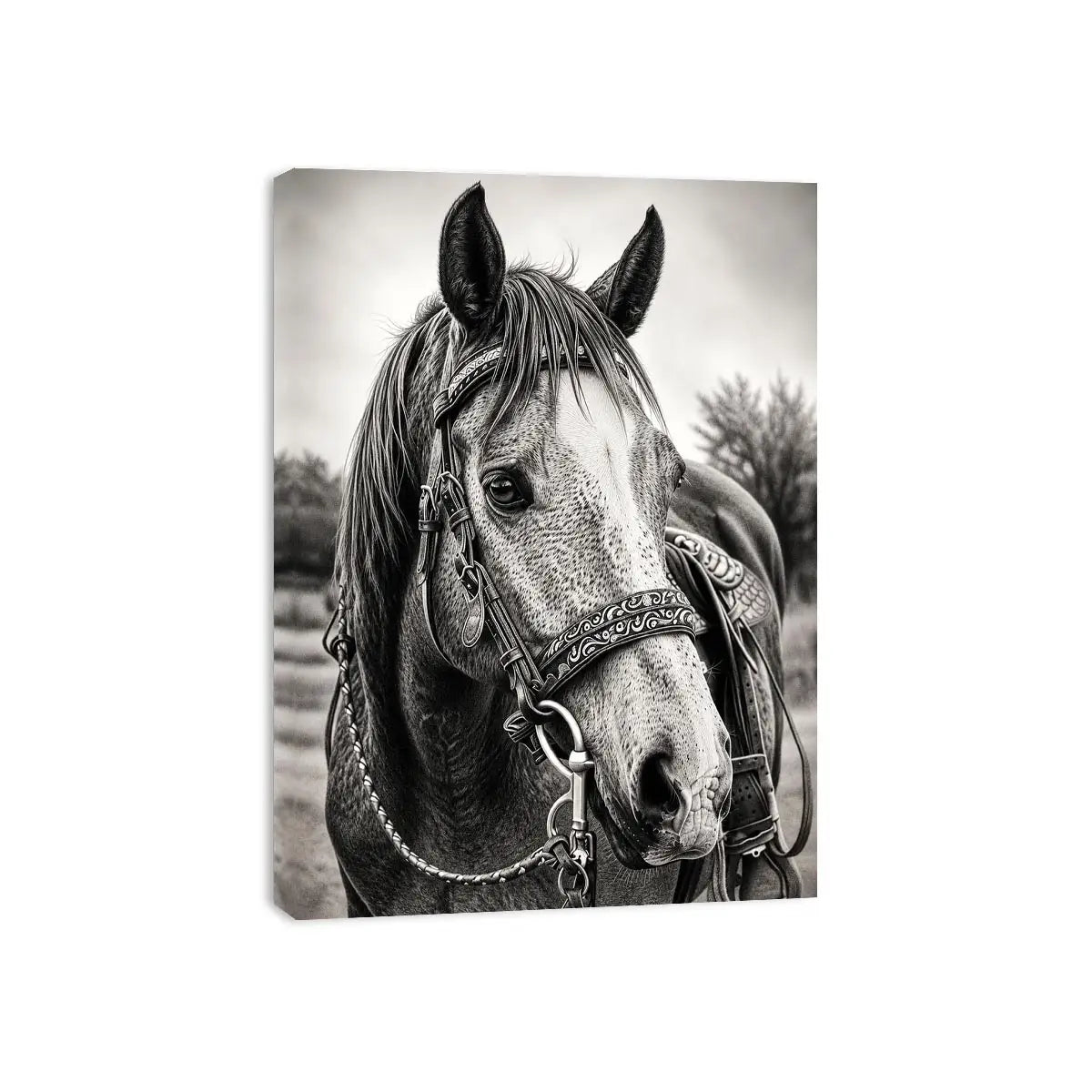 Black and white horse portrait wall art with detailed western bridle and elegant monochrome countryside aesthetic