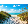 Coastal beach path wall art with sandy dunes leading to blue ocean under clear sky, serene seaside canvas for living room and beach house decor