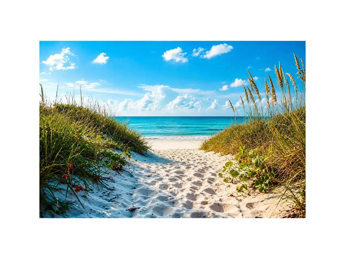 Coastal beach path wall art with sandy dunes leading to blue ocean under clear sky, serene seaside canvas for living room and beach house decor