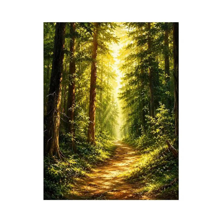 Sunlit forest pathway wall art with glowing woodland trees and peaceful green landscape scenery