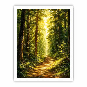 Sunlit forest pathway wall art with glowing woodland trees and peaceful green landscape scenery