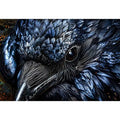 Dark raven wall art with intricate black feather textures and moody gothic atmosphere
