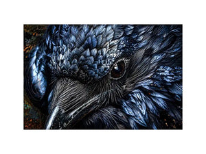 Dark raven wall art with intricate black feather textures and moody gothic atmosphere