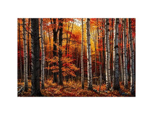 Luxury autumn forest wall art with white birch trees and vibrant orange fall foliage in a modern contemporary landscape canvas style