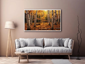 Luxury autumn birch forest wall art with golden foliage and white tree trunks in a serene woodland landscape painting style