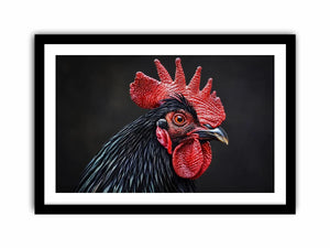 Luxury black rooster portrait wall art with vivid red comb and dramatic modern realism on dark background