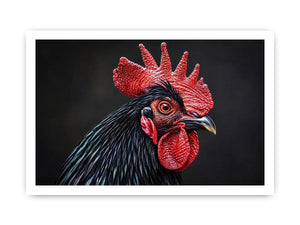 Luxury black rooster portrait wall art with vivid red comb and dramatic modern realism on dark background