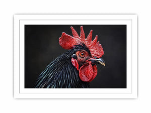 Luxury black rooster portrait wall art with vivid red comb and dramatic modern realism on dark background