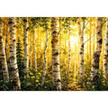 Watercolor birch forest wall art with soft golden sunlight, earthy woodland tones, and peaceful nature scenery