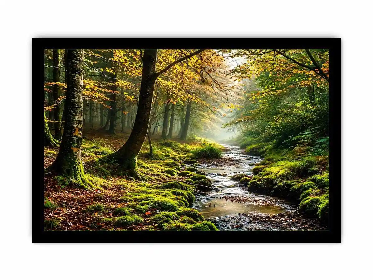 Misty forest creek landscape with mossy woodland trees and peaceful nature wall art canvas
