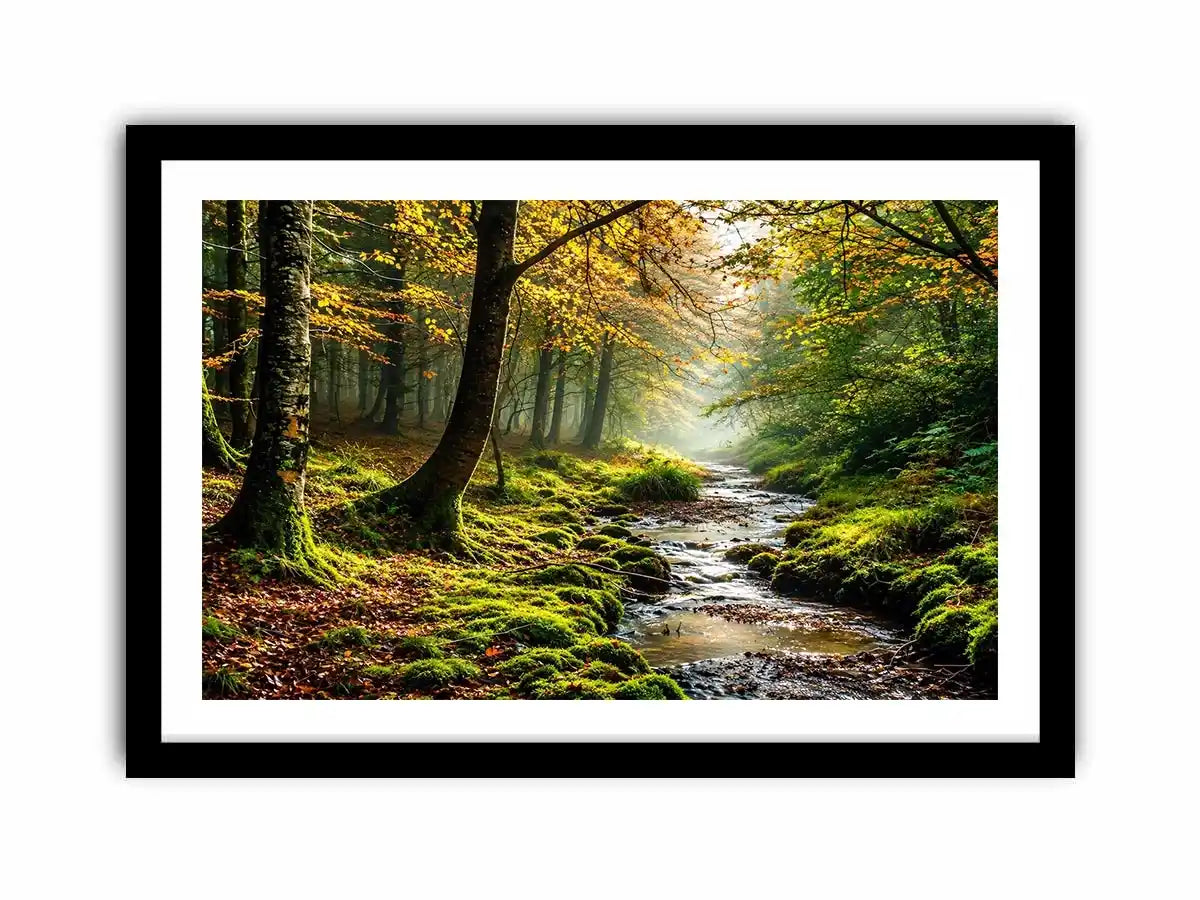 Misty forest creek landscape with mossy woodland trees and peaceful nature wall art canvas