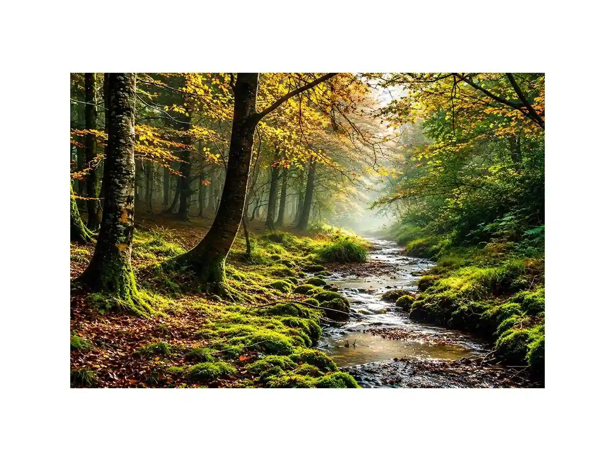 Misty forest creek landscape with mossy woodland trees and peaceful nature wall art canvas