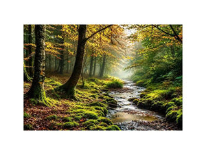Misty forest creek landscape with mossy woodland trees and peaceful nature wall art canvas