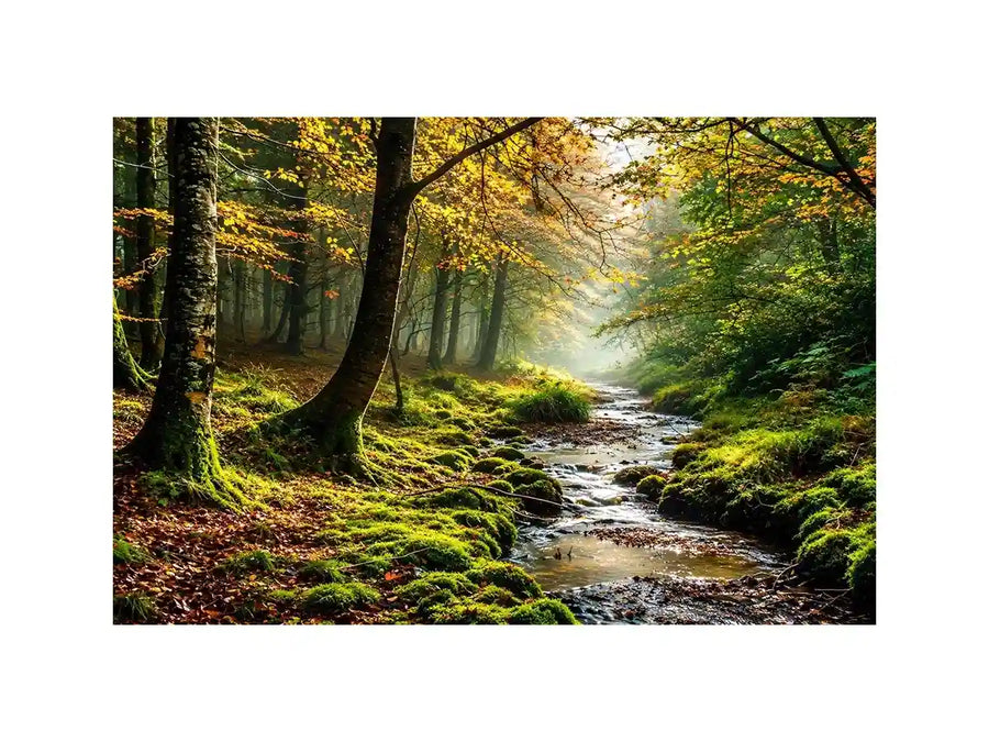 Misty forest creek landscape with mossy woodland trees and peaceful nature wall art canvas