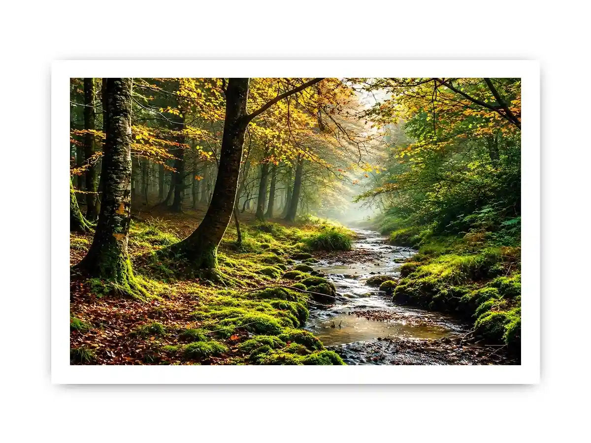 Misty forest creek landscape with mossy woodland trees and peaceful nature wall art canvas