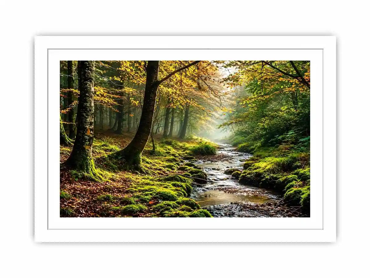Misty forest creek landscape with mossy woodland trees and peaceful nature wall art canvas