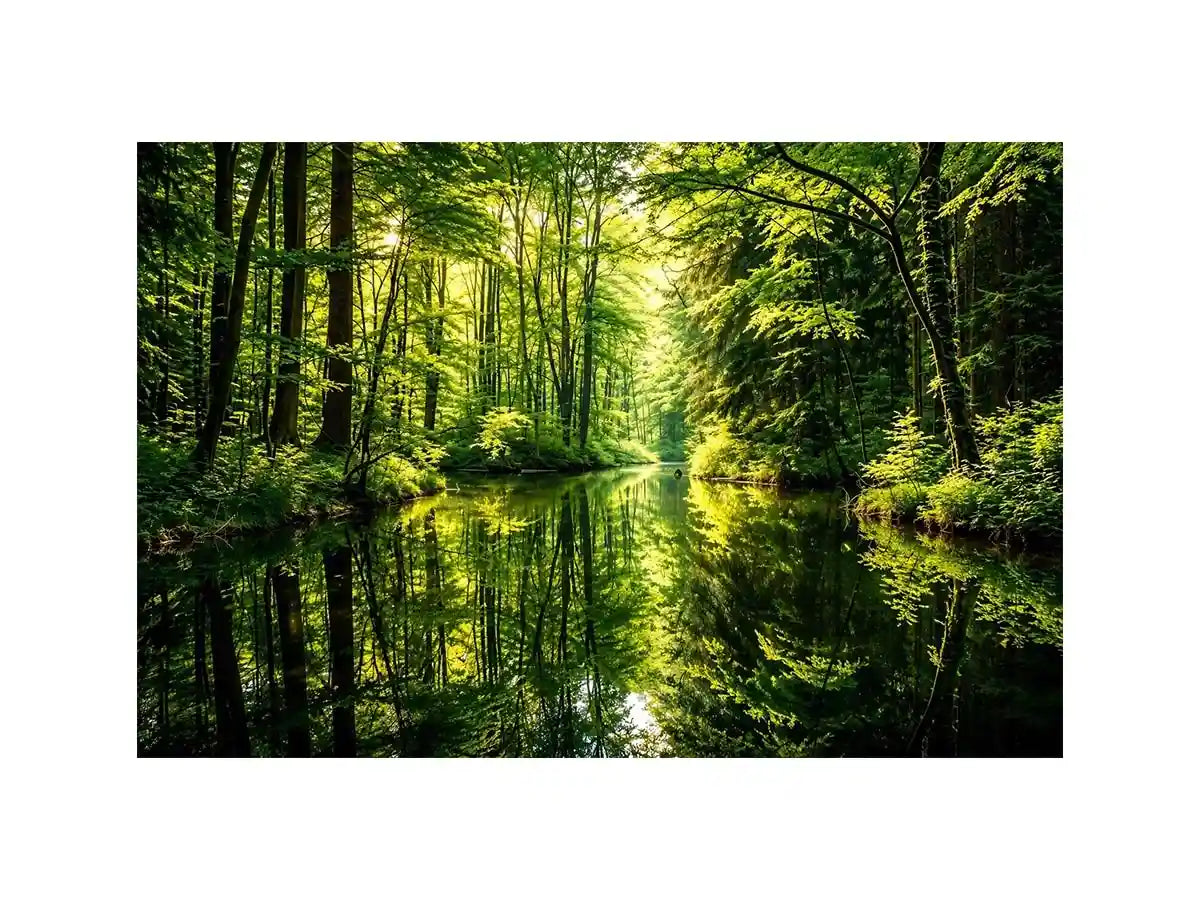 Peaceful forest lake wall art with lush green reflections for calming modern living room decor.