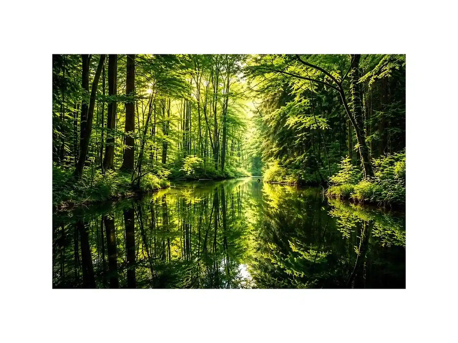 Peaceful forest lake wall art with lush green reflections for calming modern living room decor.