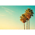 Tall tropical palm trees against soft pastel sky