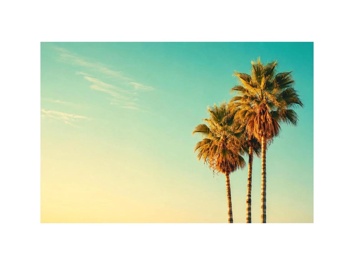 Tall tropical palm trees against soft pastel sky