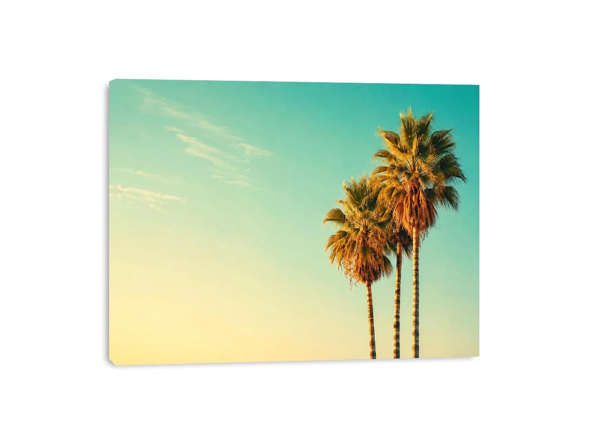 Tall tropical palm trees against soft pastel sky