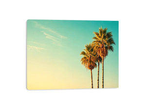 Tall tropical palm trees against soft pastel sky