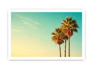 Tall tropical palm trees against soft pastel sky