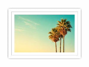 Tall tropical palm trees against soft pastel sky