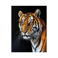 Elegant tiger portrait with expressive brushwork against a dramatic dark background