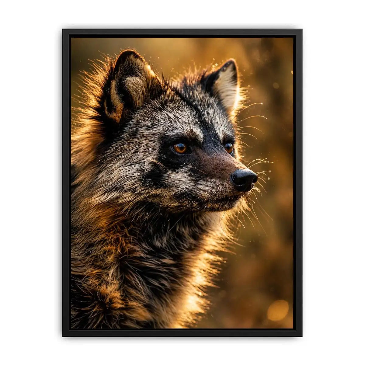 Golden wildlife raccoon portrait wall art with warm cinematic lighting for modern rustic interiors