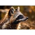Warm golden raccoon wildlife canvas art for rustic modern living room and nature-inspired interiors