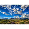 Southwestern desert landscape wall art with dramatic blue sky, mountains, and cactus scenery