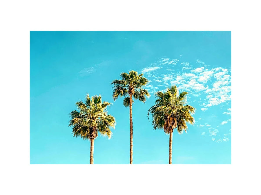 Palm trees against a bright blue sky in tropical landscape artwork