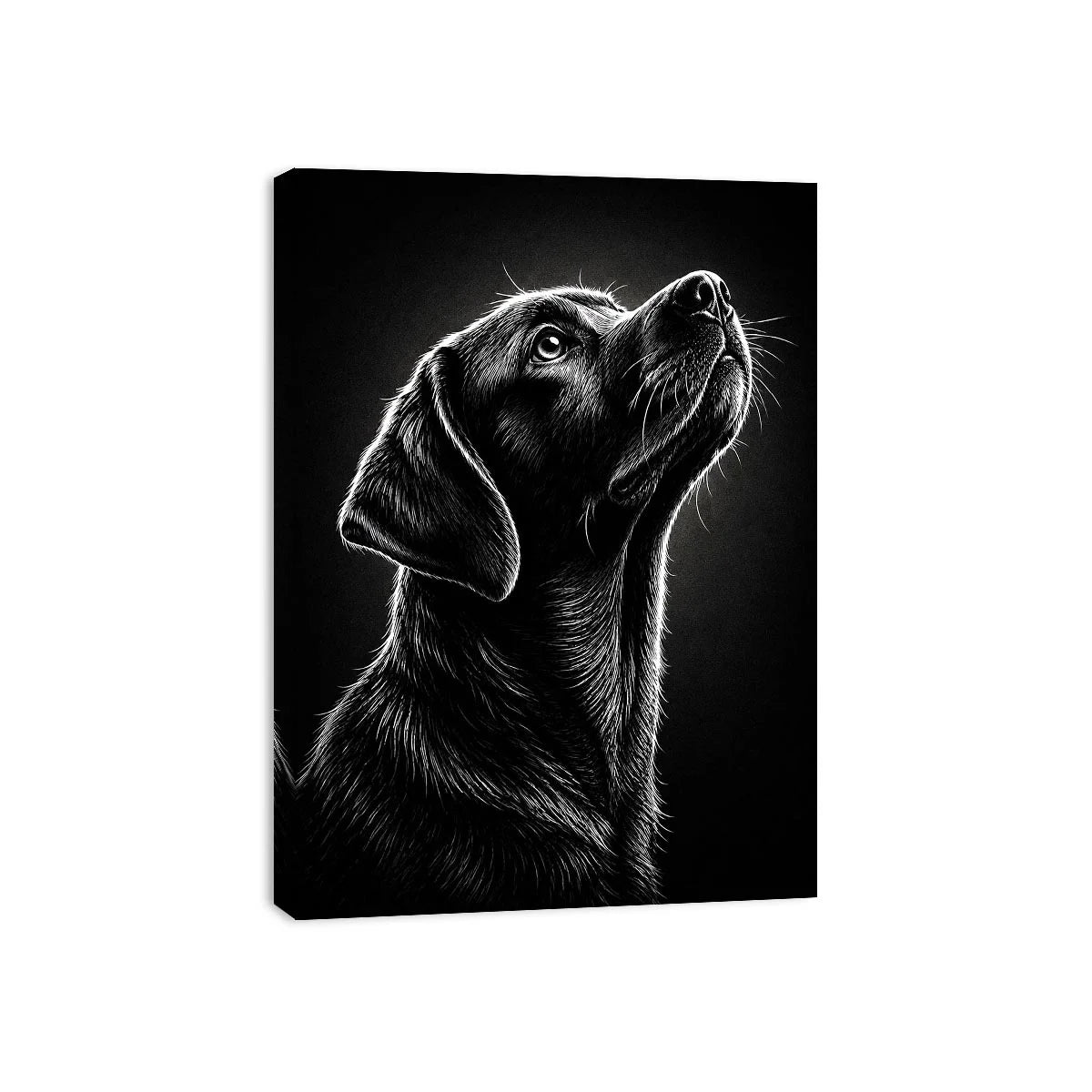 Black and white Labrador portrait canvas art for modern living room and office decor.