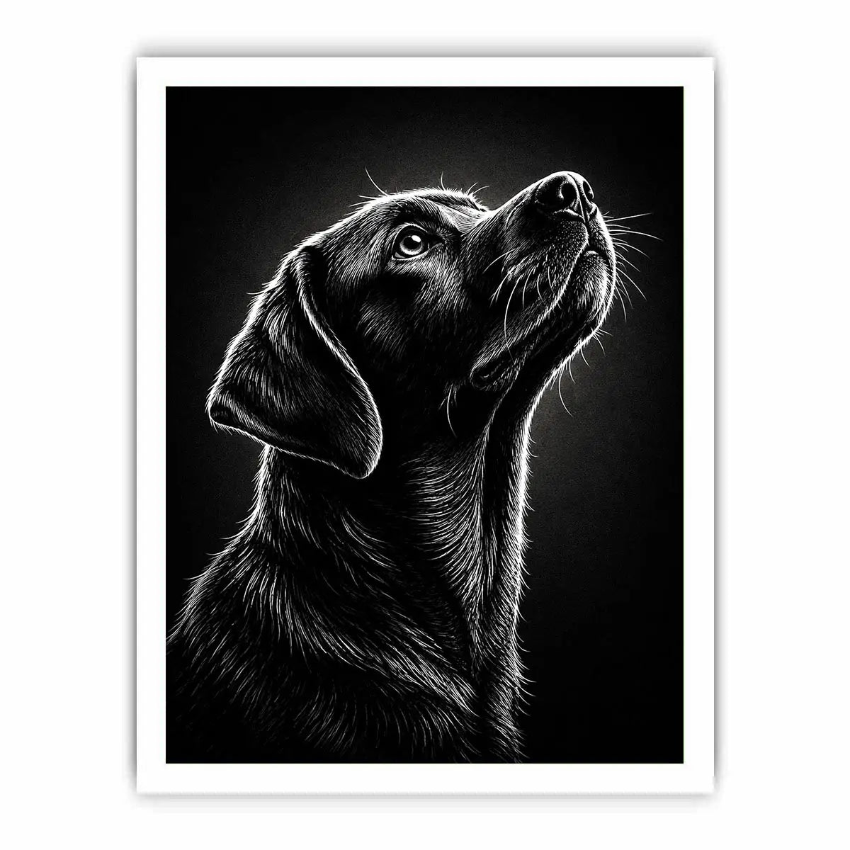 Black and white Labrador portrait canvas art for modern living room and office decor.