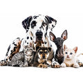 Modern pet canvas art with Great Dane, puppies, and kittens for stylish living room decor.