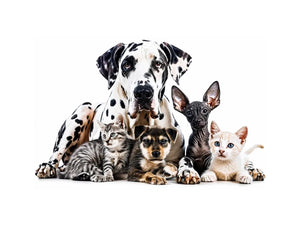 Modern pet canvas art with Great Dane, puppies, and kittens for stylish living room decor.