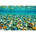Clear underwater stone photography canvas art for calming coastal living room decor.