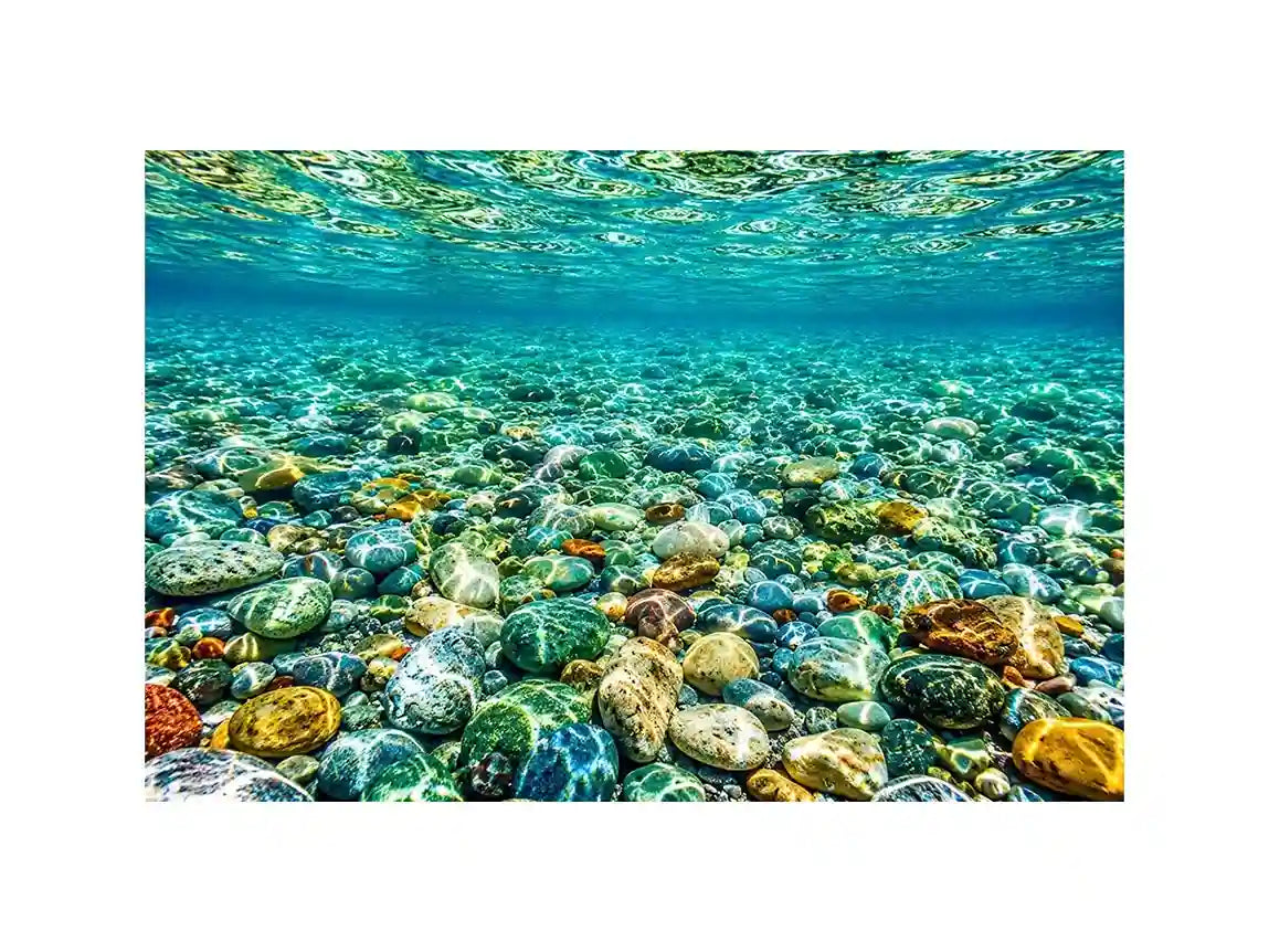 Clear underwater stone photography canvas art for calming coastal living room decor.
