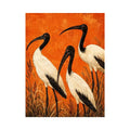 Crimson Ibis Trio watercolor style canvas art for elegant modern home decor.