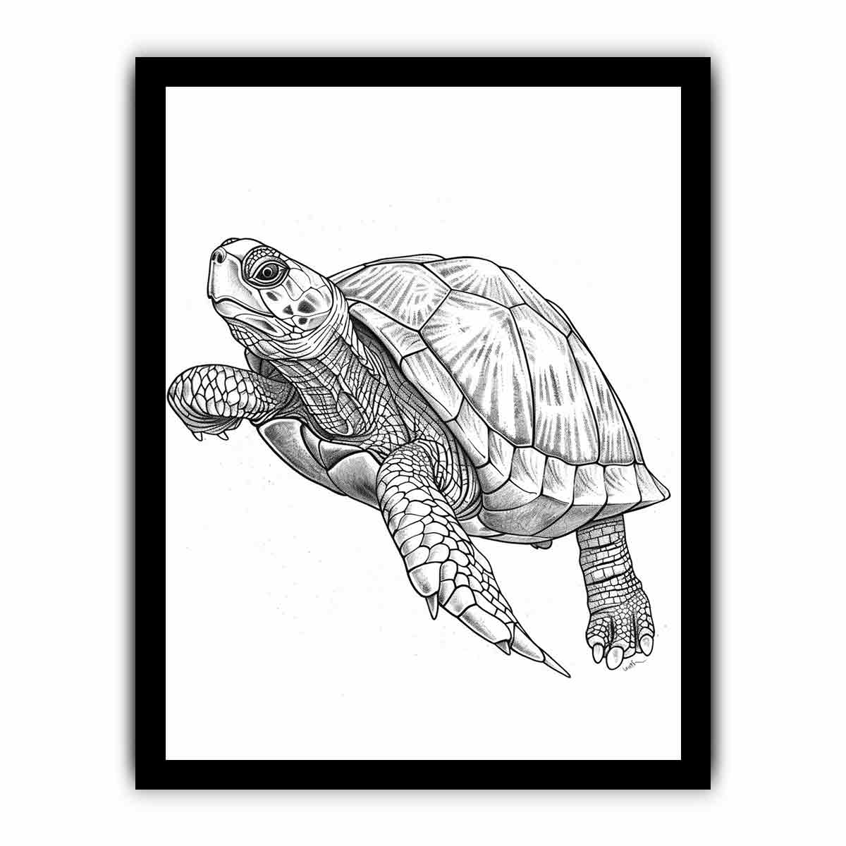 Color Me Turtle framed Print