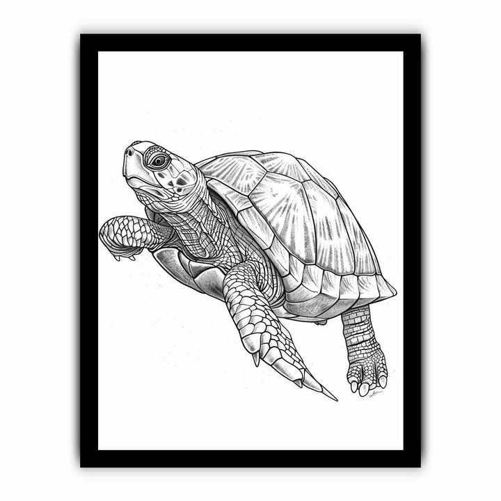 Color Me Turtle framed Print