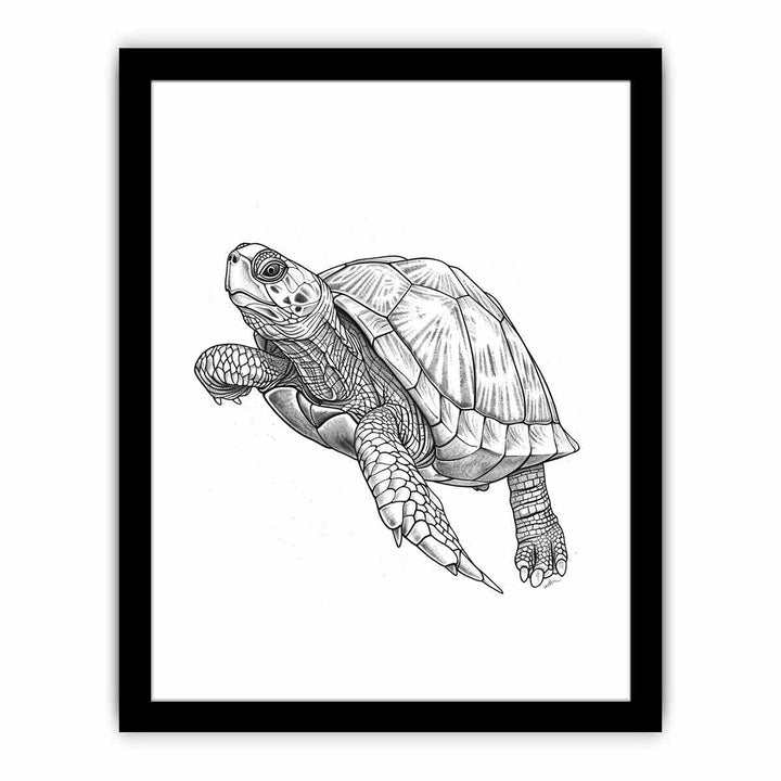 Color Me Turtle framed Print