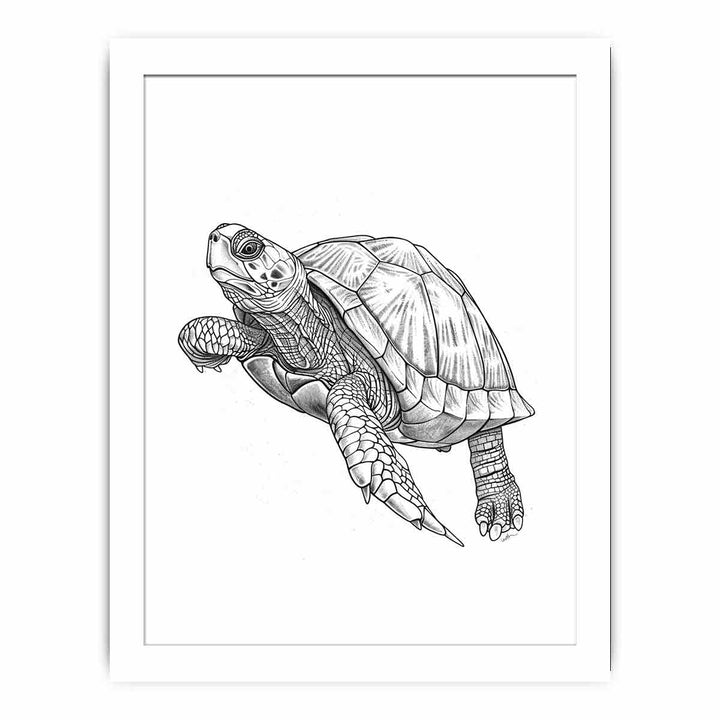 Color Me Turtle framed Print