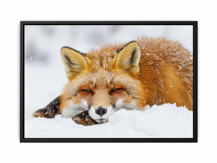 Fox  canvas Print