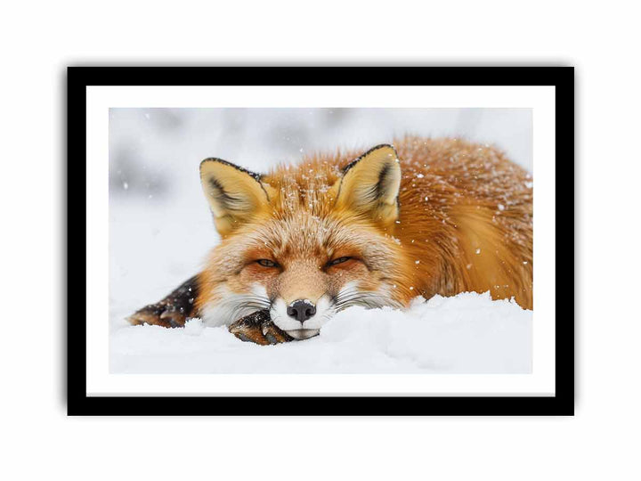 Fox  framed Print