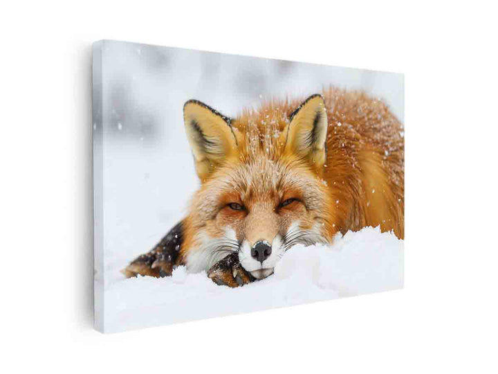 Fox  canvas Print